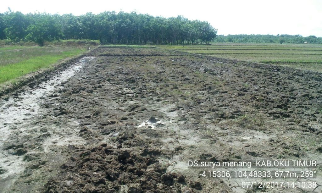 Data cetak sawah Ditziad TA. 2017